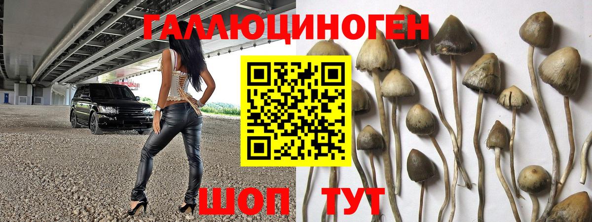 Псилоцибиновые грибы MAGIC MUSHROOMS Красноярск